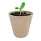Plantation Products Ferry-Morse 7 Cells 5 in. H X 4 in. W X 4 in. L Seed Starting Peat Pot 7 pk FR407 - alternate 2